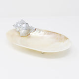 Sea Shell Pearly Platter