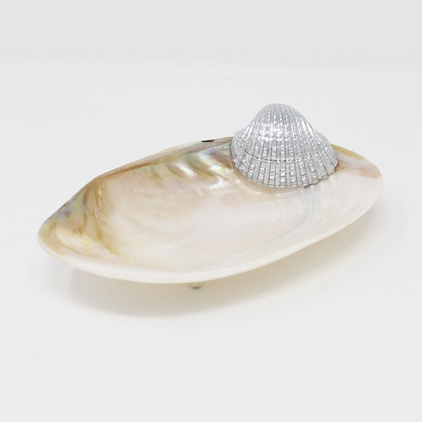 Sea Shell Pearly Platter