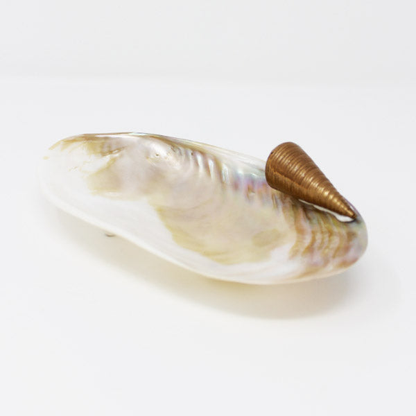 Sea Shell Pearly Platter