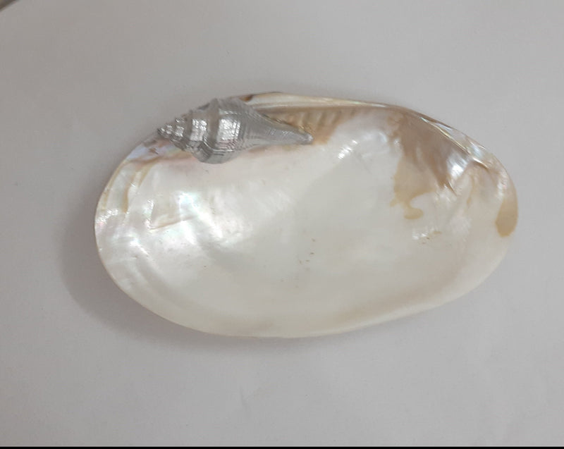 Sea Shell Pearly Platter
