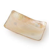 Shell soap dish