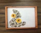 Floral Trays (Large)