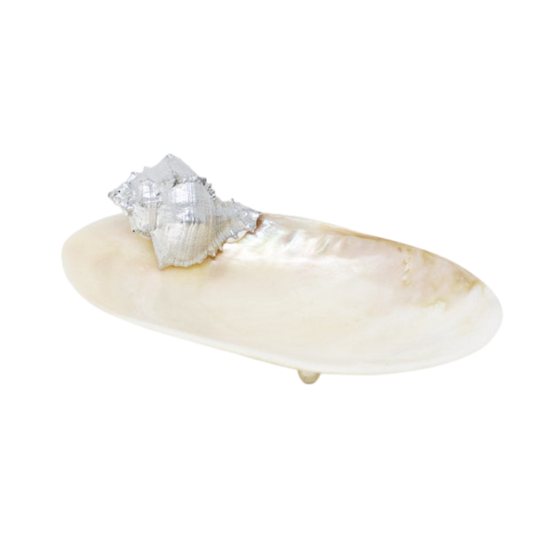 Sea Shell Pearly Platter